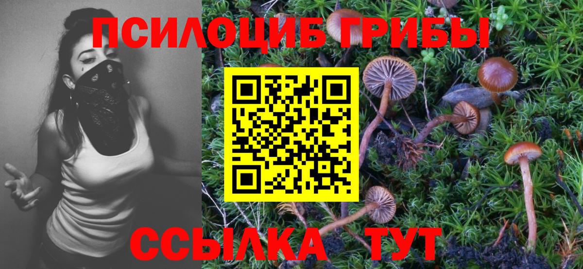 Галлюциногенные грибы мухоморы Кудымкар