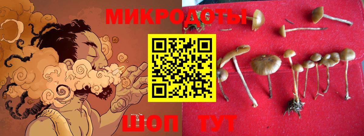 Псилоцибиновые грибы прущие грибы  Вход с VPN  Кудымкар 